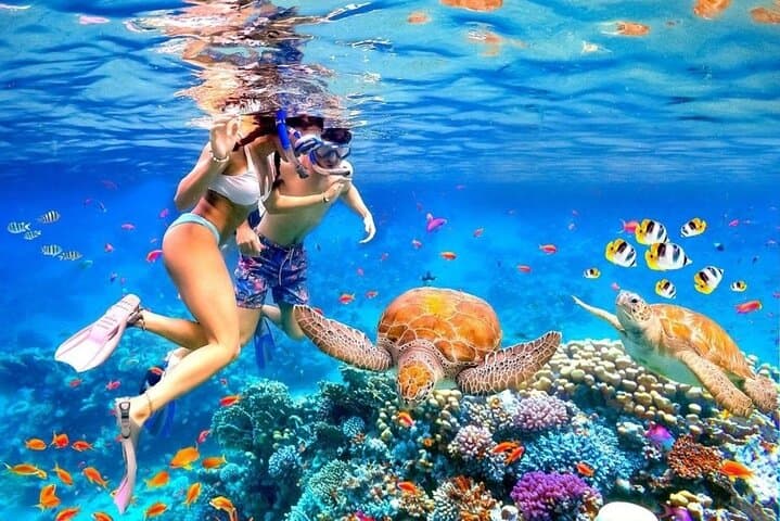 Blue Lagoon Snorkel & Waterfall Combo — Private Transfer, Boat, Lunch photo 5