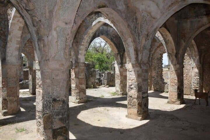 Siwa Oasis Desert Adventure: 4-Day Private Tour from Cairo photo 2