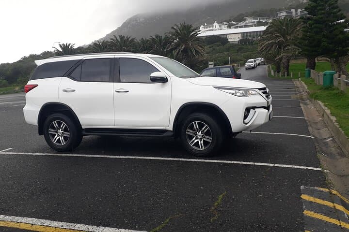 Cape Peninsula Coastal Drive: Full-Day Cape of Good Hope & Boulders Beach Penguin Private Tour photo 5