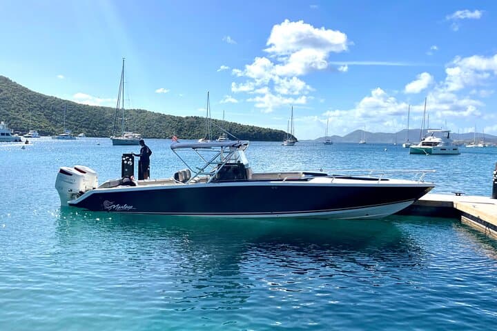 Seas the Day — BVI Day Sail to The Baths, Norman Island & White Bay photo 6