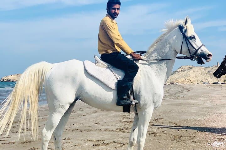 Muscat Beach Horseback Riding: Coastal Rides Along Oman's Shoreline photo 2