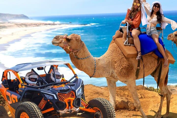 Cabo Migriño Camel Ride & UTV Dune Combo — Beach-to-Desert Adventure