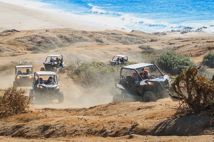 Cabo Migriño Camel Ride & UTV Dune Combo — Beach-to-Desert Adventure photo 5