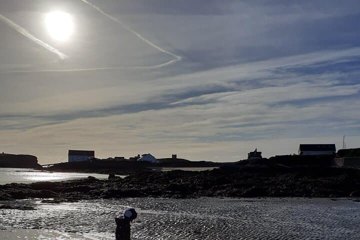 Holy Island Coastal Path Uncovered: Trearddur to Rhoscolyn Guided Walk photo 6