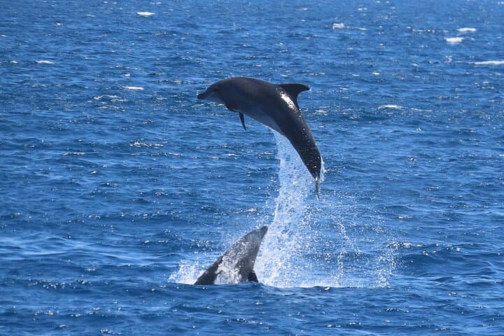 Sail Kos: Full-Day Dodecanese Boat Tour to Kalymnos, Secret Islets & Beaches photo 3