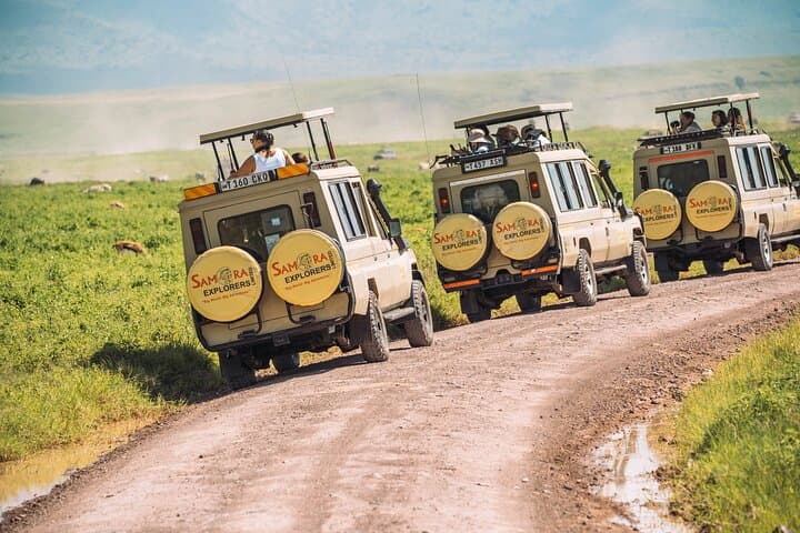 Best of Northern Tanzania: 6-Day Safari to Tarangire, Serengeti & Ngorongoro