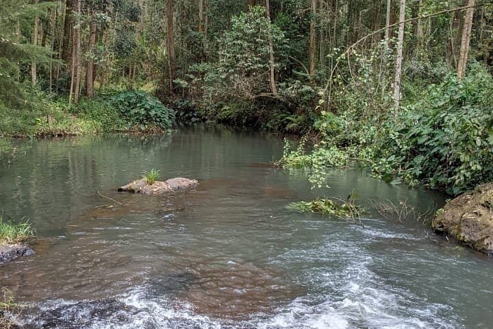 Nairobi to Murang'a Waterfall Hike and Picnic — Half-Day Riverside Escape photo 5