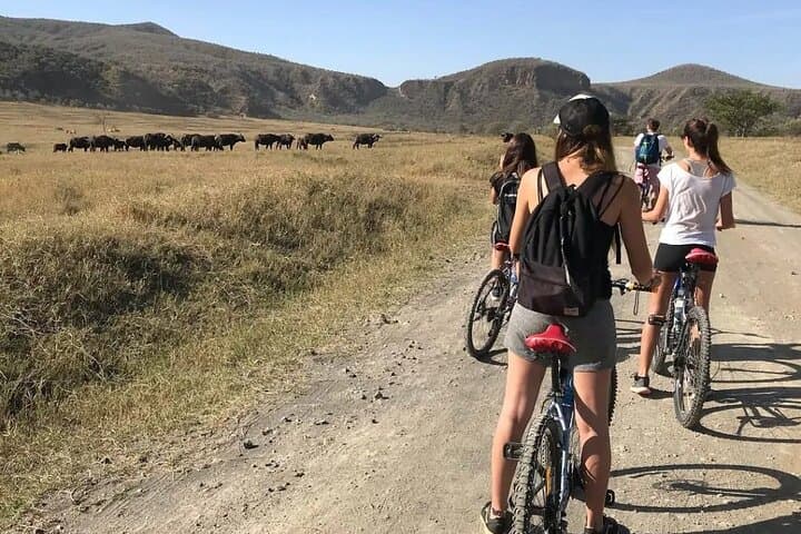 Cycle, Hike, and Boat: Day Trip to Hell's Gate & Lake Naivasha from Nairobi