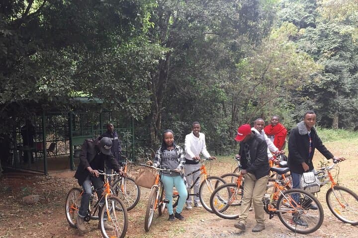 Karura Forest Day Hike & Bike from Nairobi — Waterfalls, Caves and Urban Wildlife