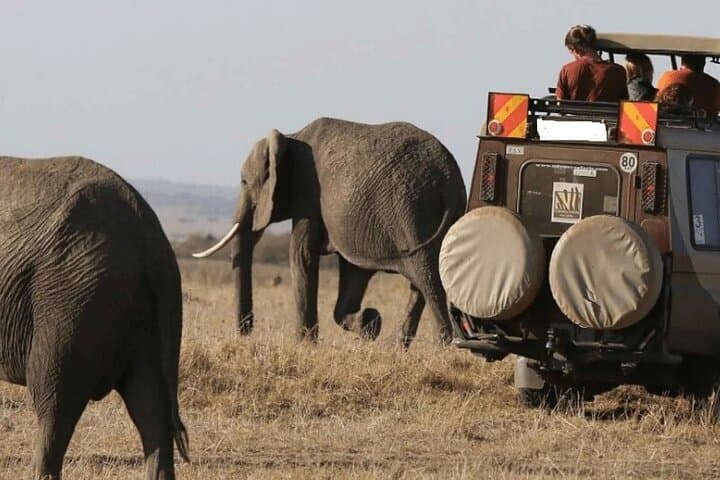12-Day Kenya & Tanzania Best Parks Safari from Nairobi