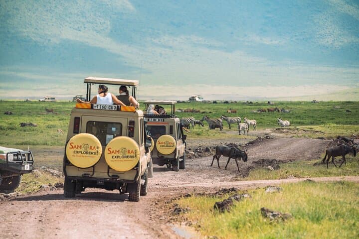 Best of Northern Tanzania: 6-Day Safari to Tarangire, Serengeti & Ngorongoro photo 2