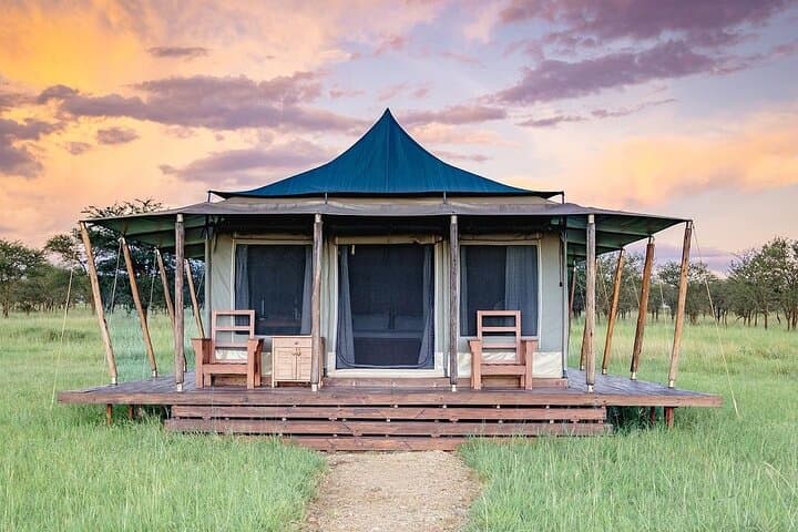 Best of Northern Tanzania: 6-Day Safari to Tarangire, Serengeti & Ngorongoro photo 6