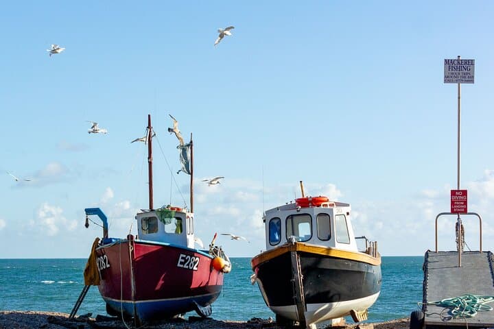 East Devon Coastal Tour: Seaton Tram, Ladram Bay, Beer & Otterton Mill