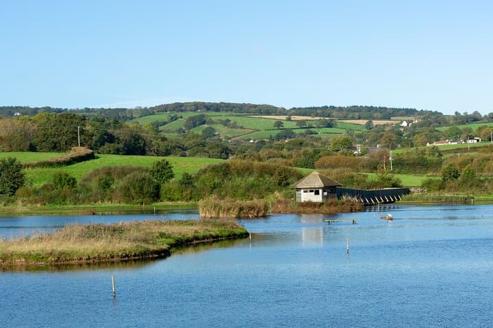 East Devon Coastal Tour: Seaton Tram, Ladram Bay, Beer & Otterton Mill photo 5