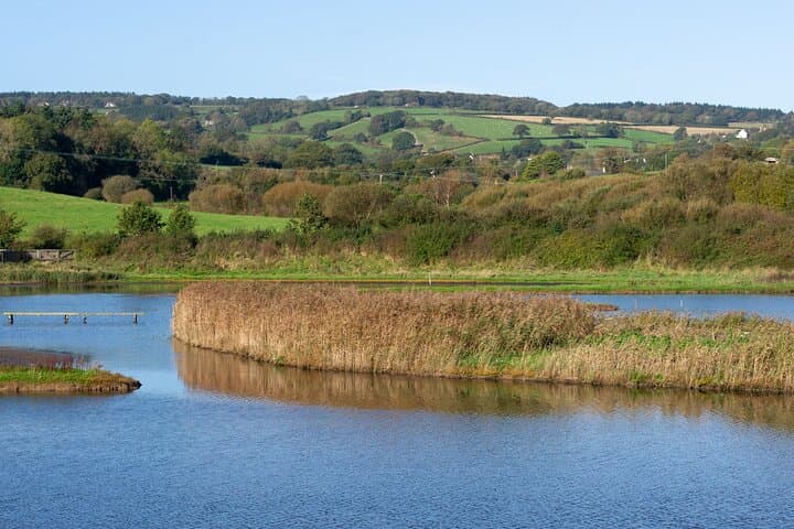 East Devon Coastal Tour: Seaton Tram, Ladram Bay, Beer & Otterton Mill photo 6