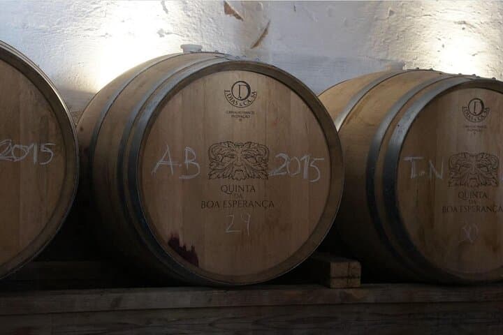 Private Wine Tasting Tour in Lisbon’s Oeste Wine Region photo 6