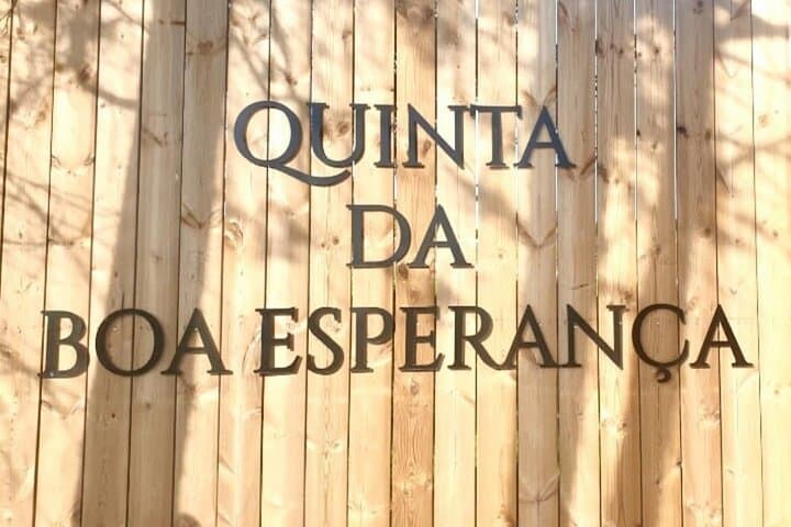 Private Wine Tasting Tour in Lisbon’s Oeste Wine Region photo 5