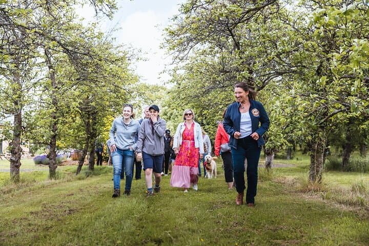Dorset Pint Glass Tour: Brewery & Cider Orchard Day Trip from Weymouth