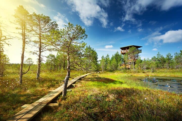 Lahemaa National Park Day Tour from Tallinn: Jägala Falls, Sagadi Manor & Viru Bog