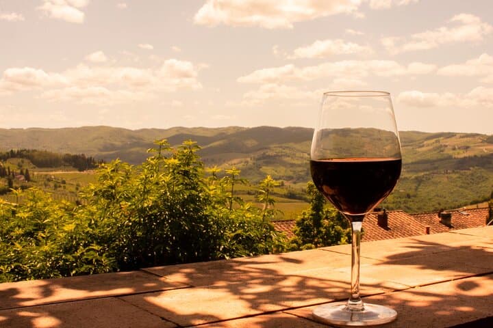 Rhine Valley Private Wine Tour from Frankfurt: Riesling, Villages & Views photo 2