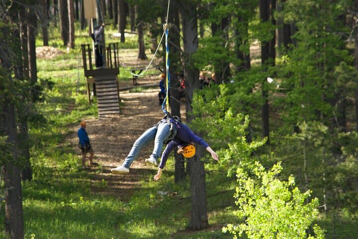 Cypress Hills Zipline: 2-Hour Lodgepole Pine Canopy Adventure