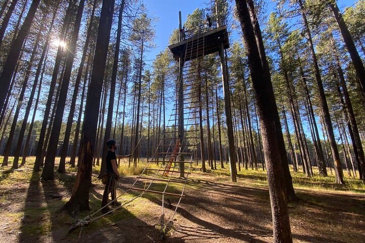 Cypress Hills Zipline: 2-Hour Lodgepole Pine Canopy Adventure photo 5