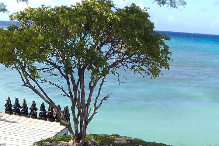 Mangel Halto Sea Scooter Snorkel — Guided Reef Adventure in Aruba photo 3