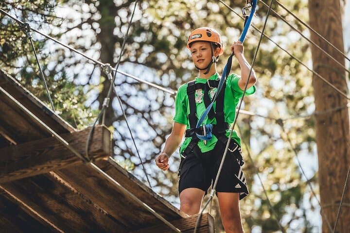 Cypress Hills Zipline Adventure: 6-Line Forest Canopy Tour Near Maple Creek