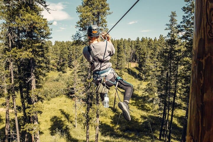 Cypress Hills Zipline Adventure: 6-Line Forest Canopy Tour Near Maple Creek photo 4