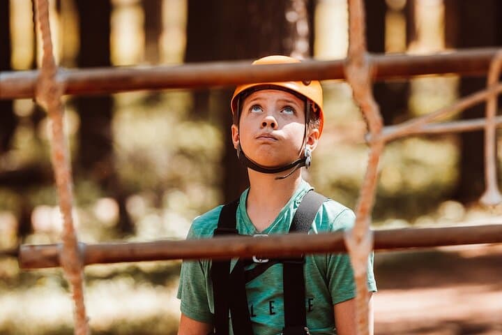 Cypress Hills Zipline Adventure: 6-Line Forest Canopy Tour Near Maple Creek photo 5