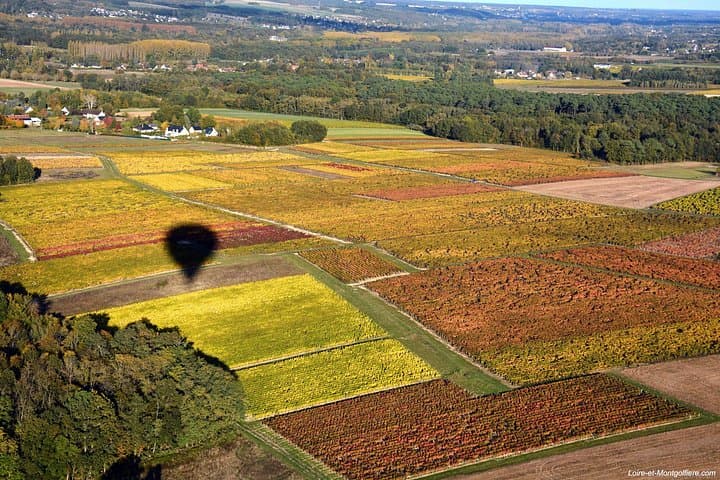 Loire Valley Hot Air Balloon Flight Over Châteaux & Vineyards photo 6