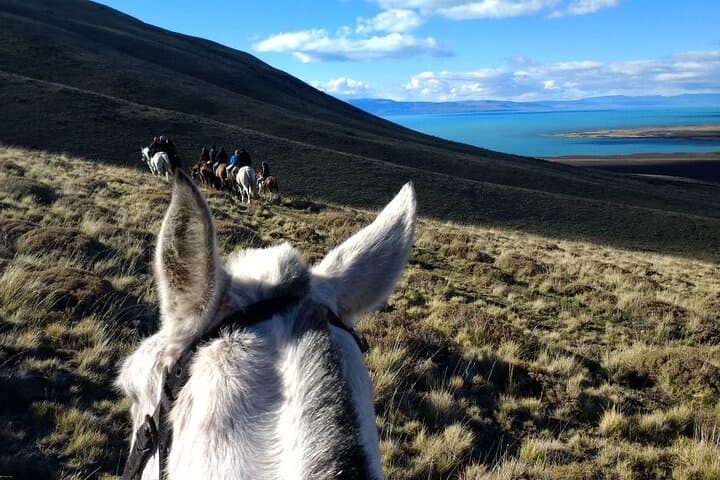 Horseback Riding Cerro Frías — Patagonian Views from El Calafate photo 2