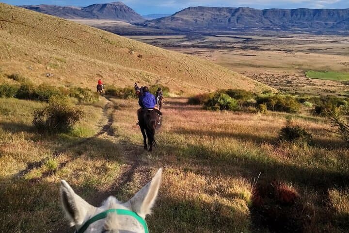 Horseback Riding Cerro Frías — Patagonian Views from El Calafate photo 3