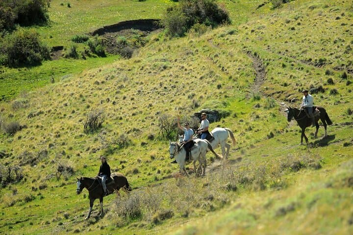 Horseback Riding Cerro Frías — Patagonian Views from El Calafate photo 5