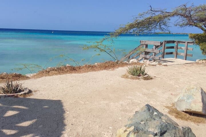 Mangel Halto Sea Scooter Snorkel — Guided Reef Adventure in Aruba photo 5