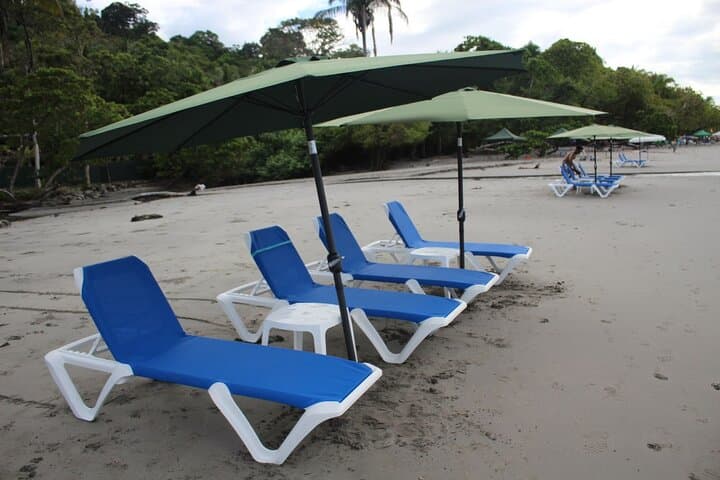 Secluded Beach Day in Manuel Antonio — Chairs, Wildlife & Water Activities photo 4
