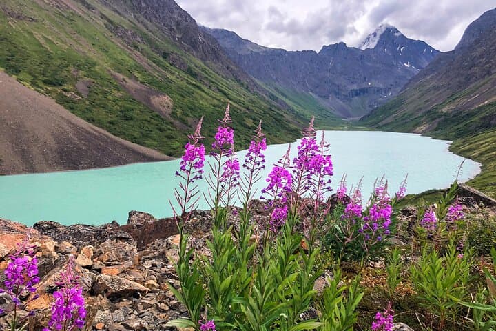 Chugach State Park Private Day Hike from Anchorage — Guided Wilderness & Wildlife Viewing photo 3