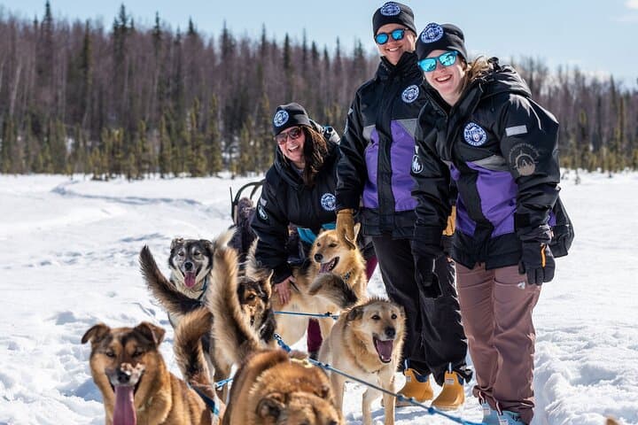Dog Sledding in Willow: 90-Minute Iditarod Kennel Ride with Denali Views photo 6