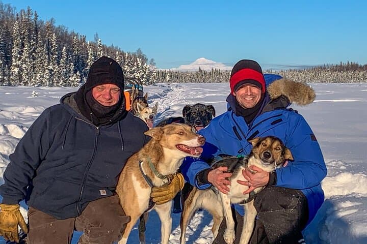 Dog Sledding in Willow: 90-Minute Iditarod Kennel Ride with Denali Views photo 3