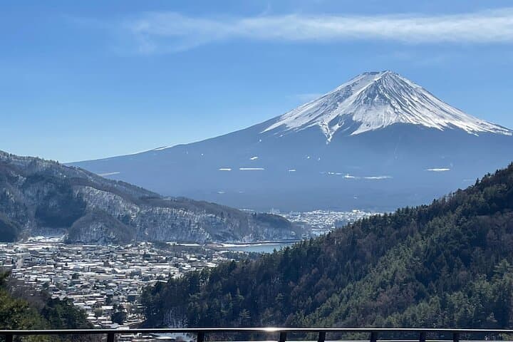 Mt Fuji Panoramic Day Tour: Hoto Lunch, Sake Tasting & Onsen Views