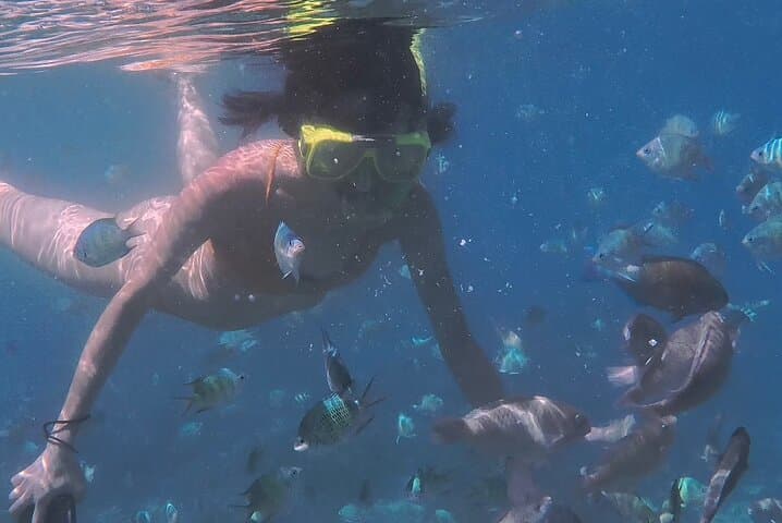 Snorkel Hilutungan: Day Trip to Cebu’s Marine Sanctuary photo 5