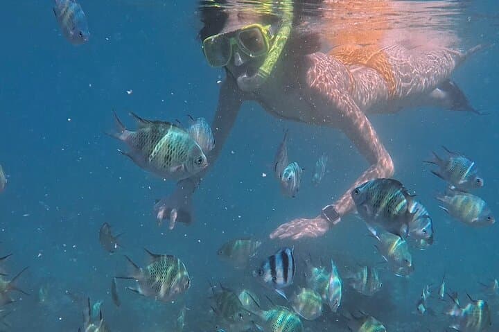 Snorkel Hilutungan: Day Trip to Cebu’s Marine Sanctuary photo 2