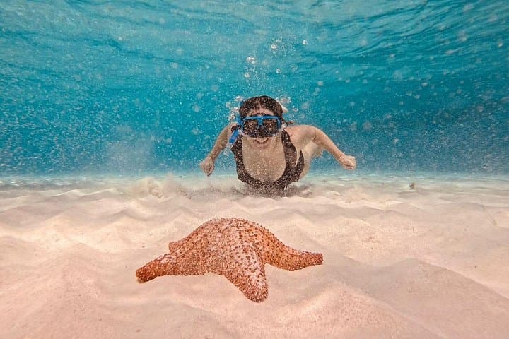 Cozumel Snorkeling to Palancar, El Cielo & Cielito — Half-Day Boat Trip with Drinks photo 1