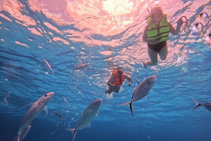 Cozumel Snorkeling to Palancar, El Cielo & Cielito — Half-Day Boat Trip with Drinks photo 2