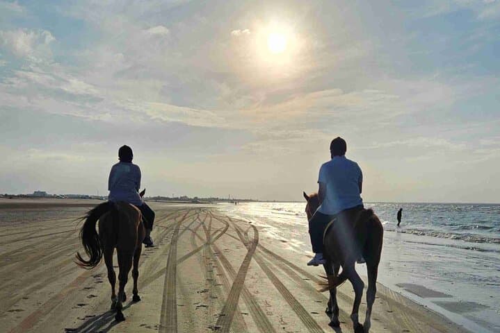 Muscat Beach Horseback Riding: Coastal Rides Along Oman's Shoreline photo 3