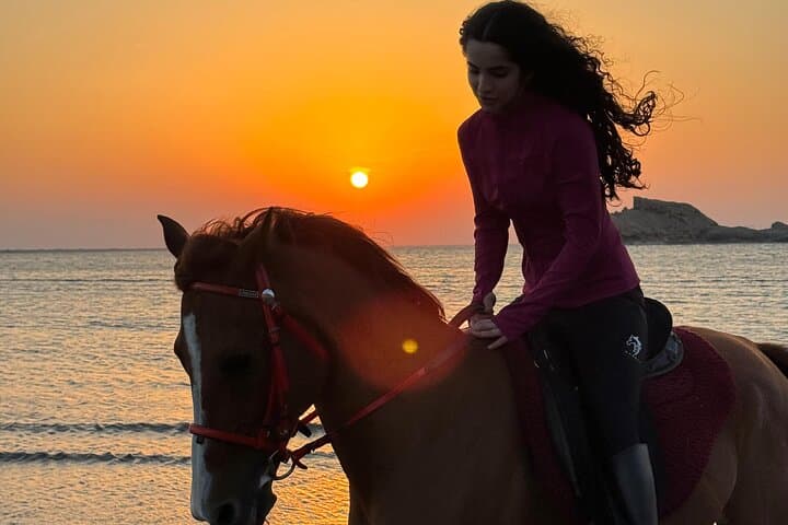 Muscat Beach Horseback Riding: Coastal Rides Along Oman's Shoreline photo 4