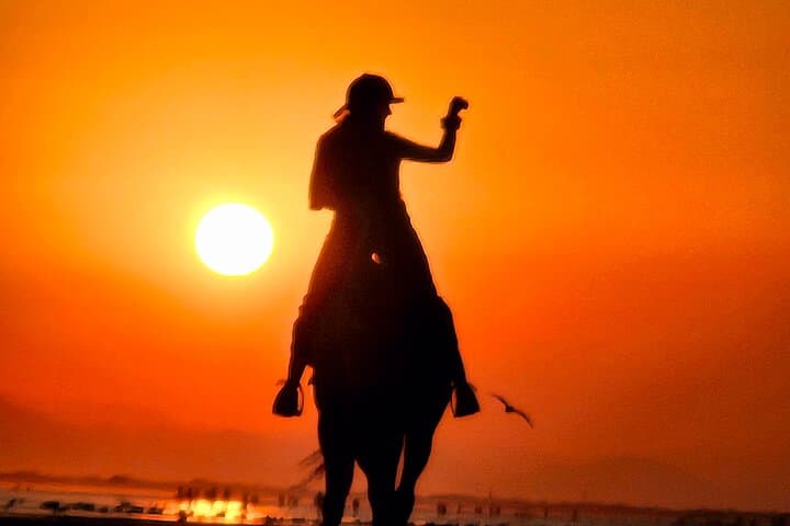 Muscat Beach Horseback Riding: Coastal Rides Along Oman's Shoreline photo 5
