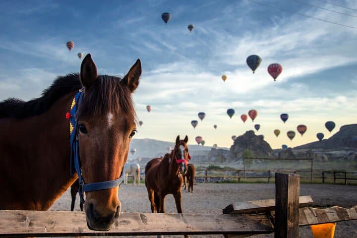 Horseback Riding in Cappadocia: Sunrise & Sunset Tours Through Red, Rose and Love Valleys photo 4