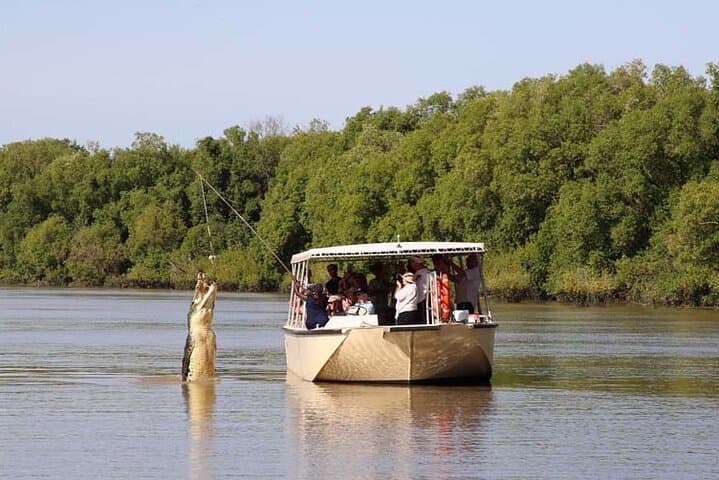 Darwin Pathfinder Jumping Crocodile Cruise — Adelaide River Wildlife Adventure photo 2