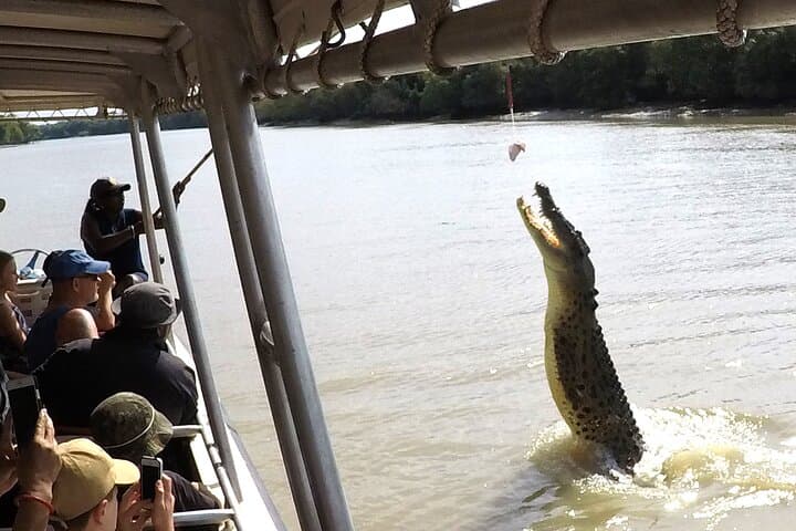 Darwin Pathfinder Jumping Crocodile Cruise — Adelaide River Wildlife Adventure photo 4